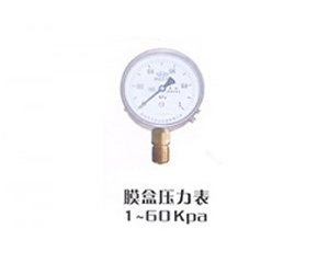 YE series bellows pressure gauge