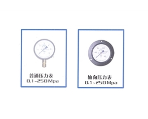 YA系列氨压力表